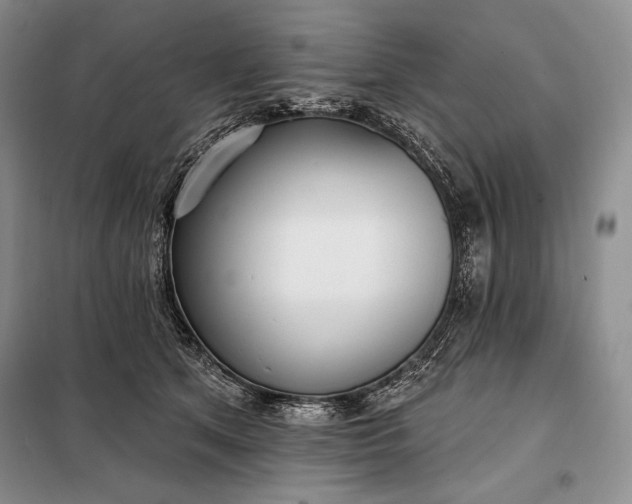 X0000098050513200804111316