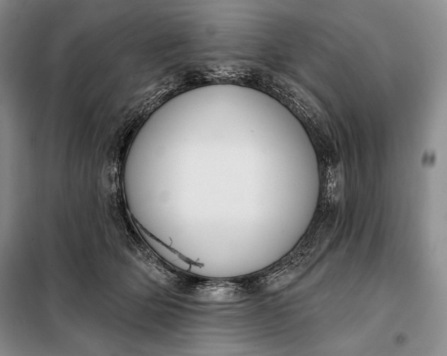 X0000098050514200804111316