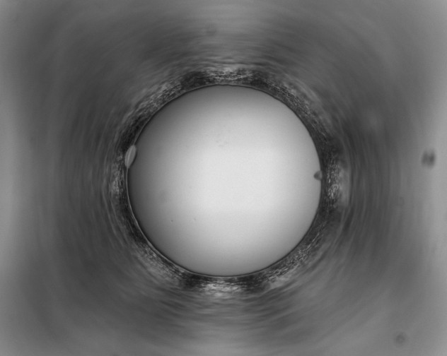 X0000098050515200804111316