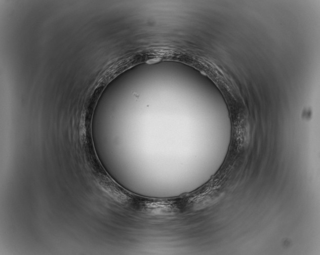 X0000098050516200804111316