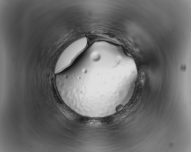 X0000098050519200804111316