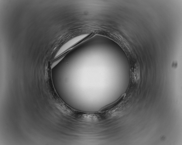 X0000098050520200804111316