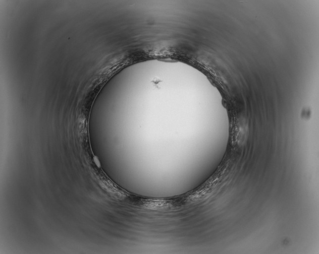 X0000098050521200804111316