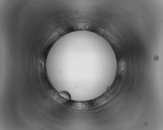 X0000098050522200804111316