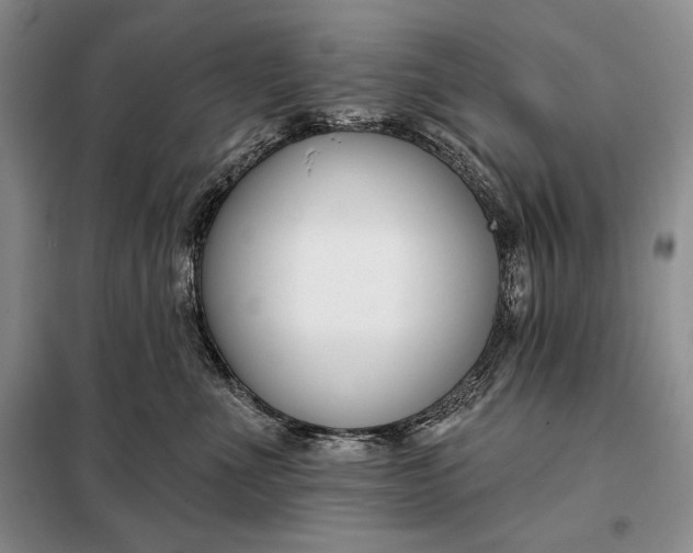 X0000098050523200804111316