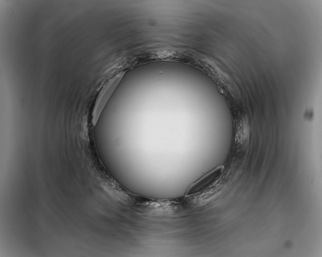 X0000098050524200804111316