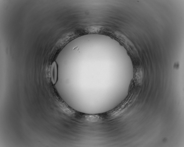 X0000098050525200804111316