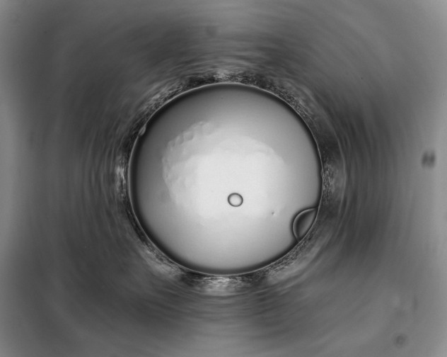 X0000098050527200804111316