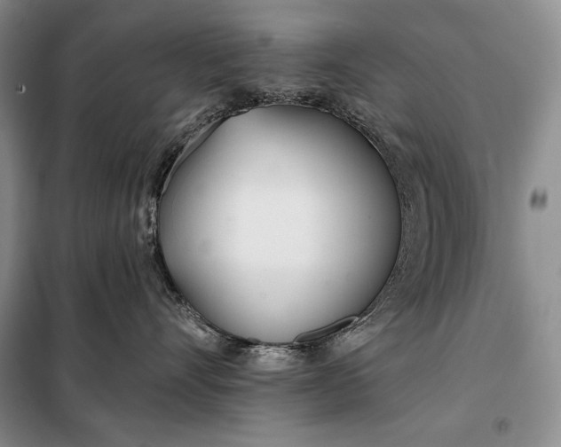 X0000098050528200804111316