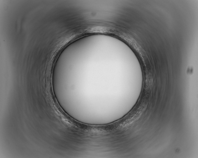 X0000098050529200804111315