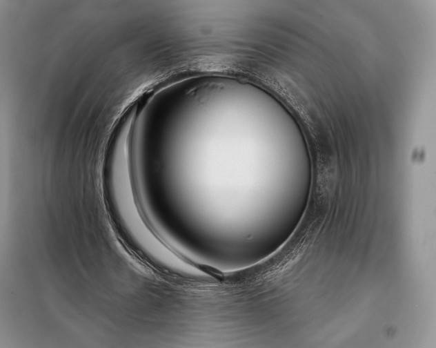 X0000098050530200804111315