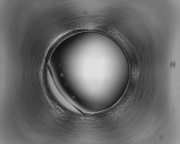 X0000098050532200804111315