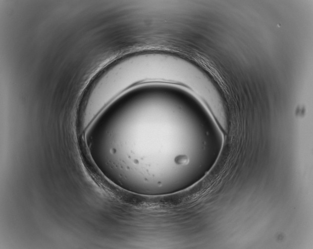 X0000098050534200804111315