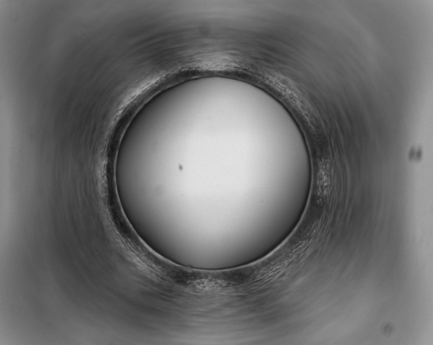 X0000098050535200804111315