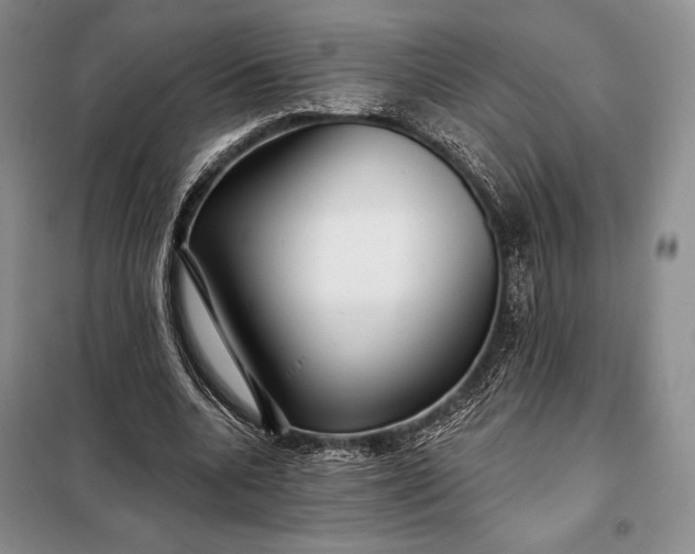 X0000098050536200804111315