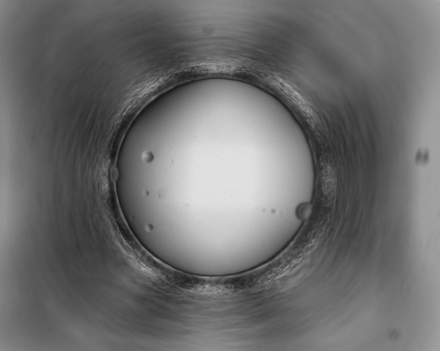 X0000098050537200804111315