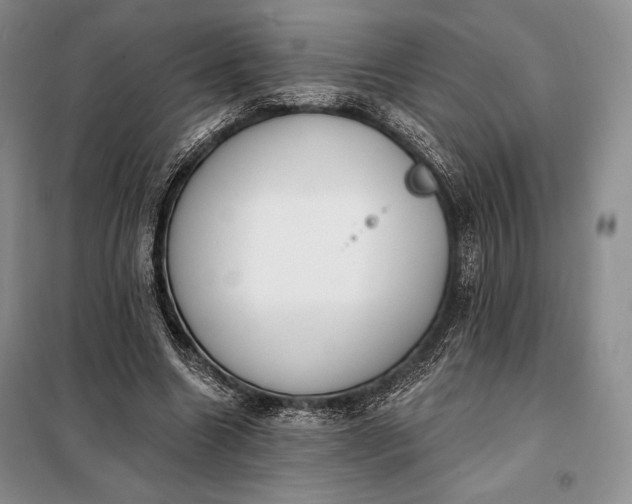 X0000098050538200804111315