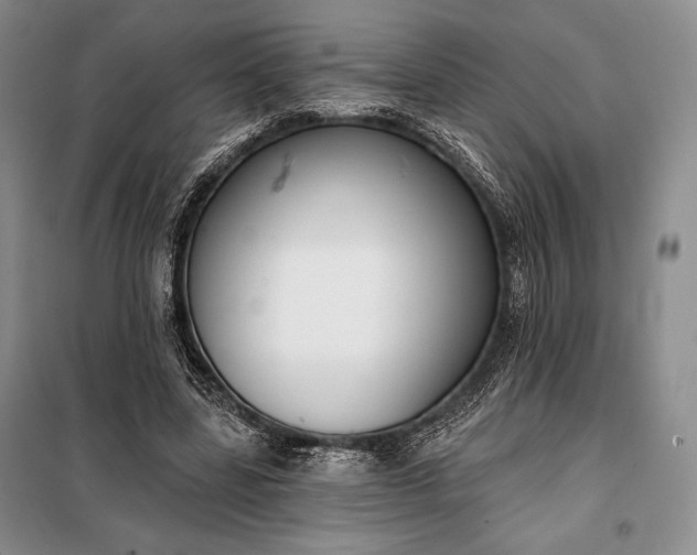 X0000098050539200804111315