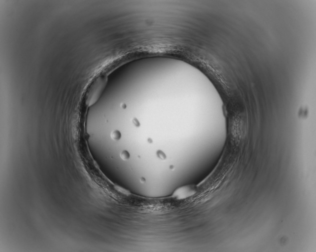 X0000098050540200804111315