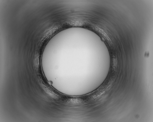 X0000098050541200804111315