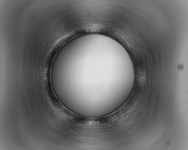 X0000098050543200804111315