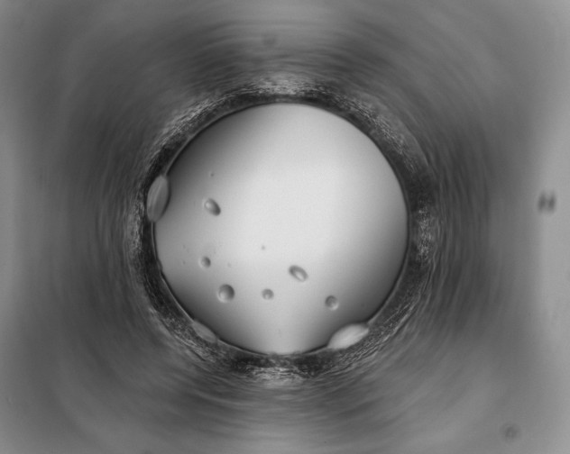 X0000098050544200804111315