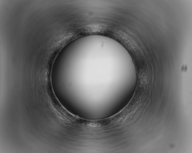 X0000098050546200804111315