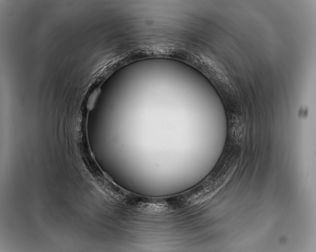 X0000098050548200804111315