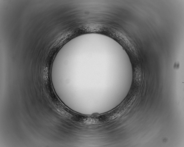 X0000098050549200804111315