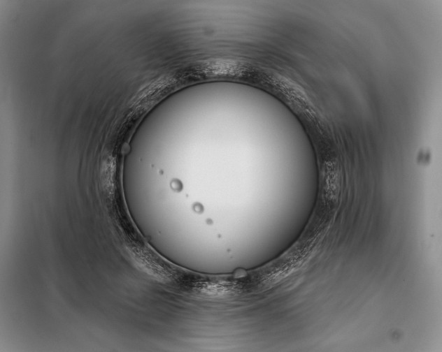 X0000098050550200804111315