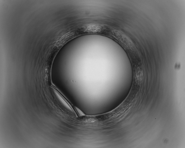 X0000098050551200804111315