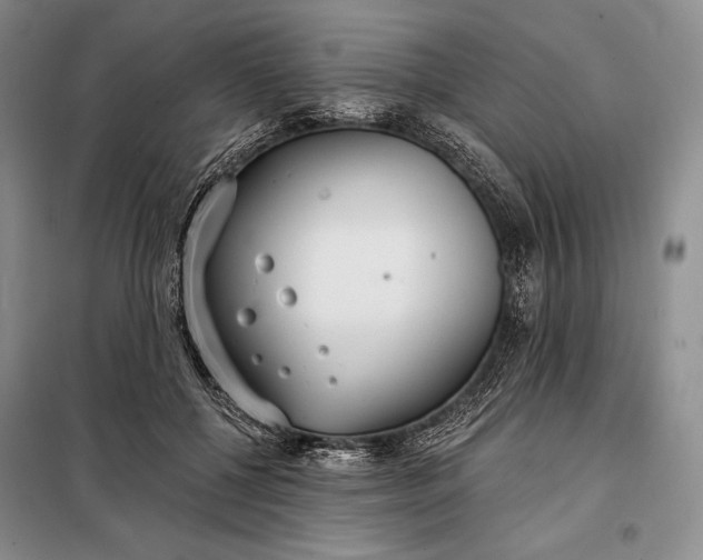 X0000098050552200804111315