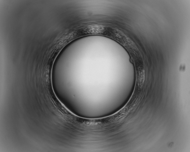 X0000098050553200804111315