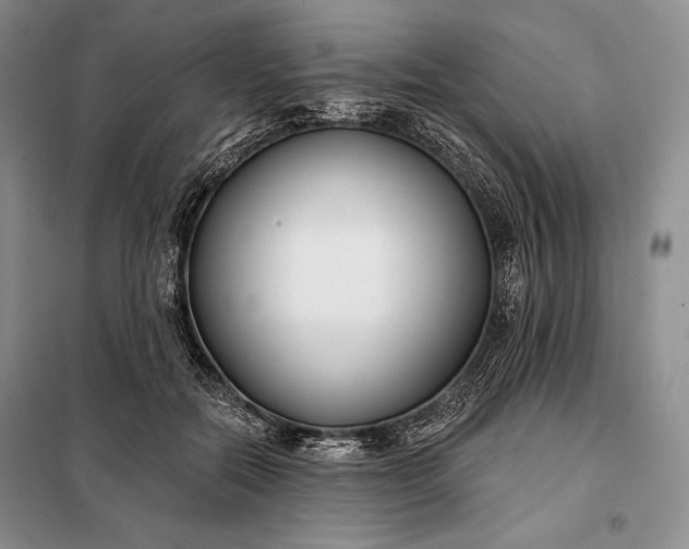 X0000098050554200804111315