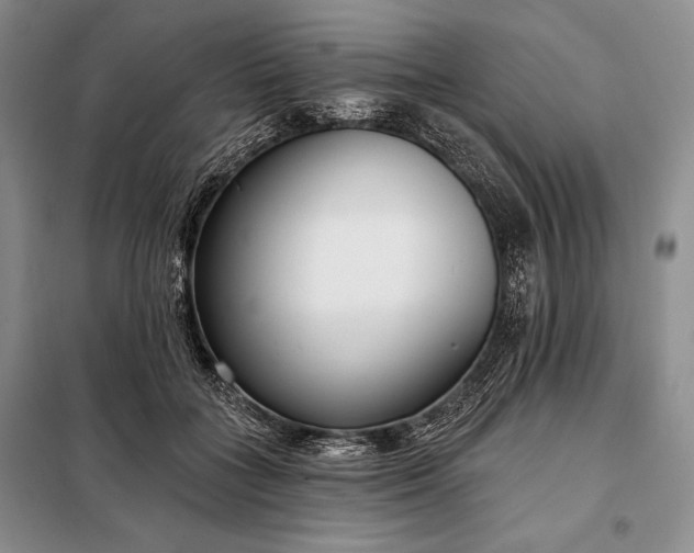 X0000098050555200804111315