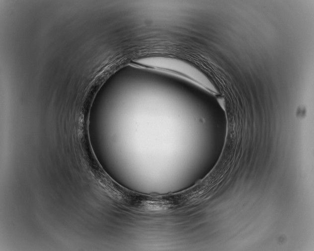 X0000098050556200804111315