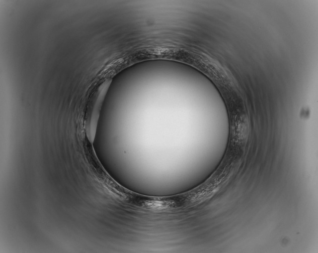 X0000098050558200804111315