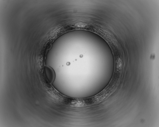 X0000098050559200804111315