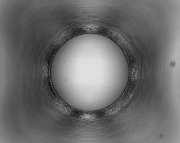 X0000098050561200804111315