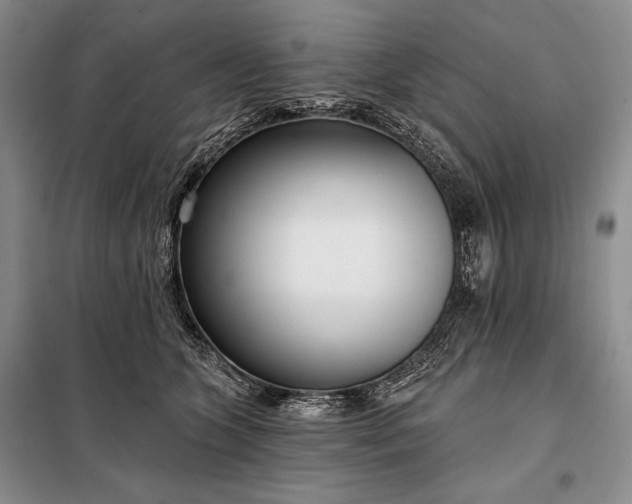 X0000098050563200804111315