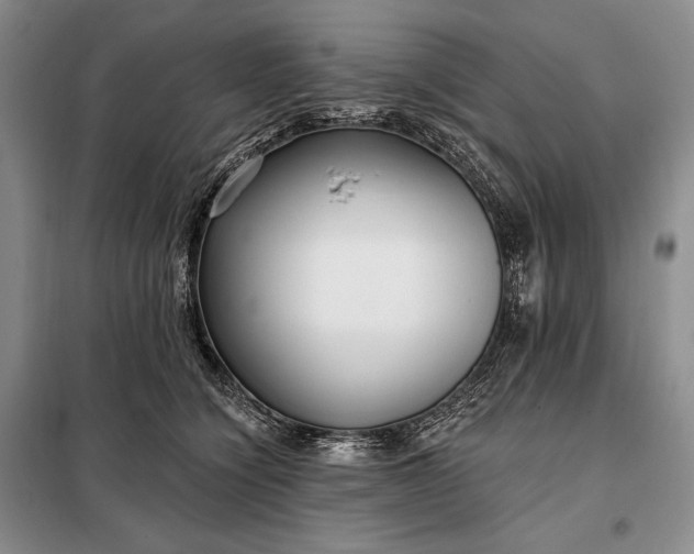 X0000098050564200804111315