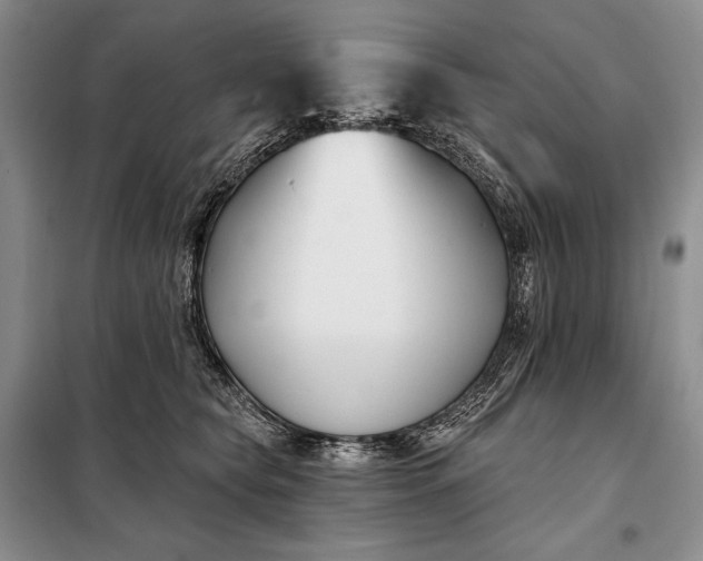 X0000098050565200804111316