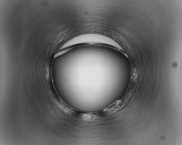 X0000098050568200804111316