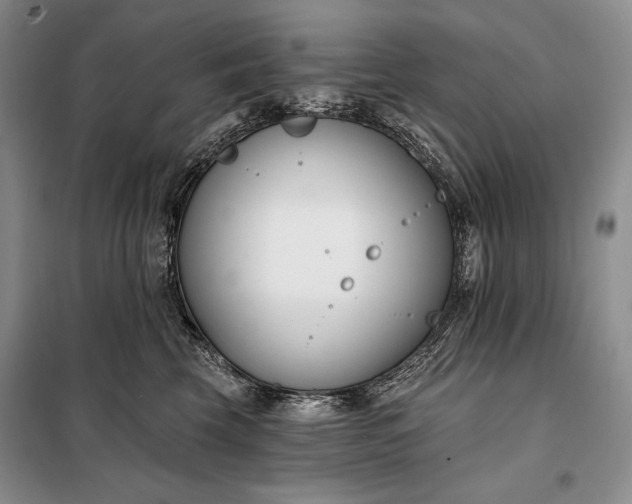 X0000098050569200804111316