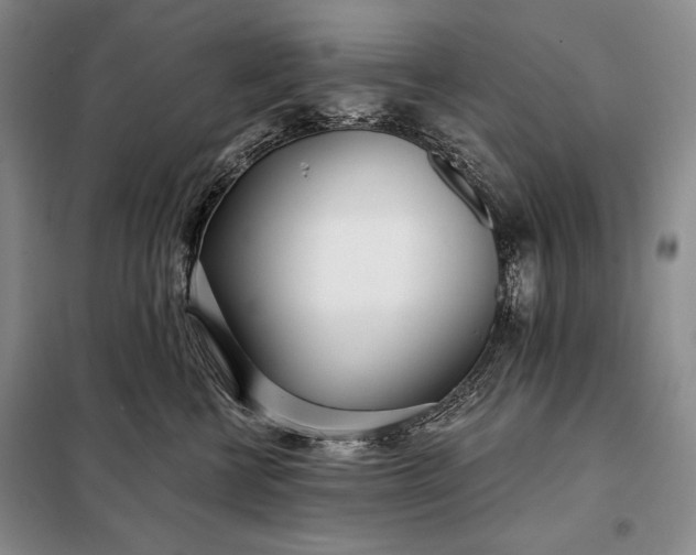 X0000098050570200804111316