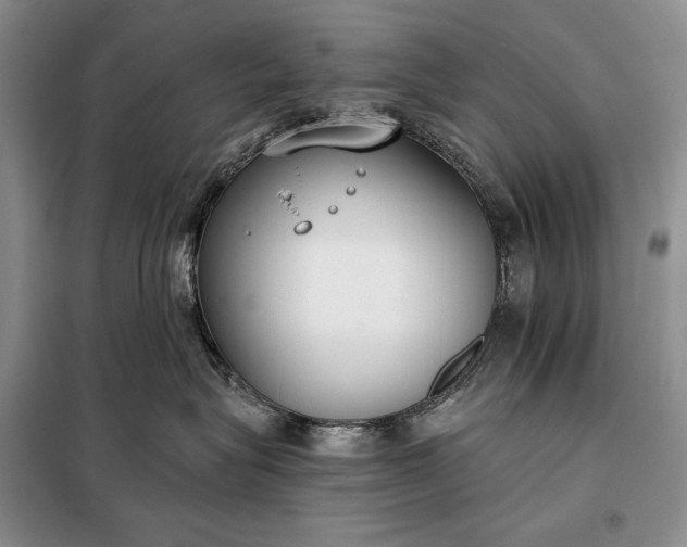 X0000098050575200804111316