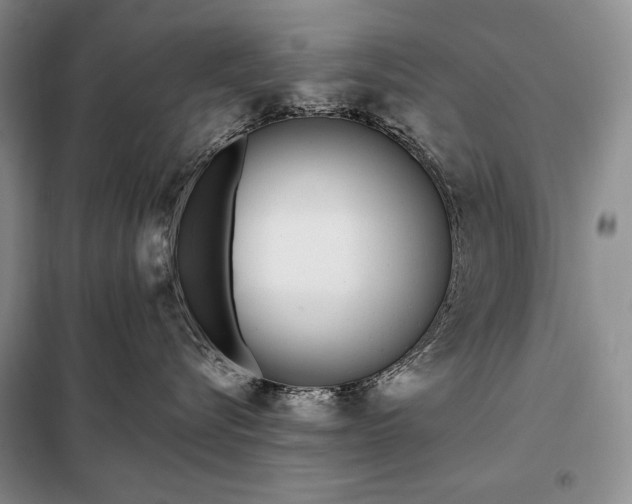 X0000098050576200804111316