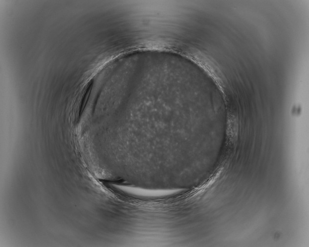 X0000098050577200804111315