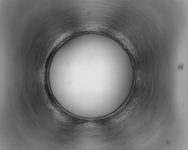 X0000098050578200804111315