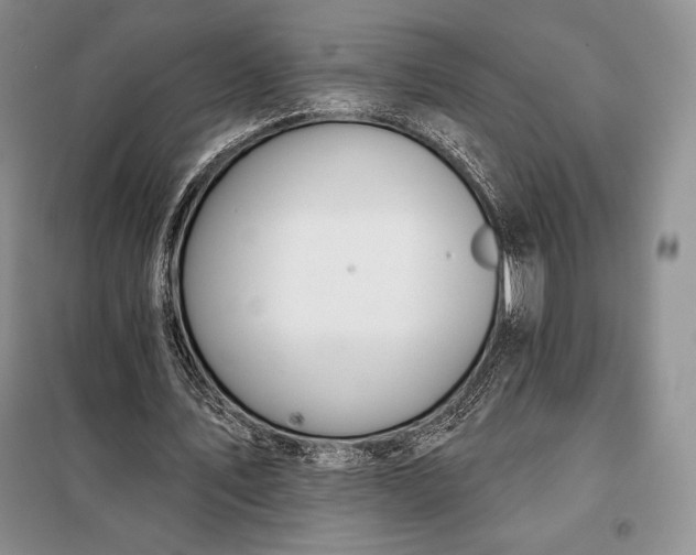 X0000098050579200804111315